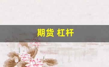 期货 杠杆(期货杠杆是什么意思)_https://www.rzcpcj.com_天猫运营_第1张
